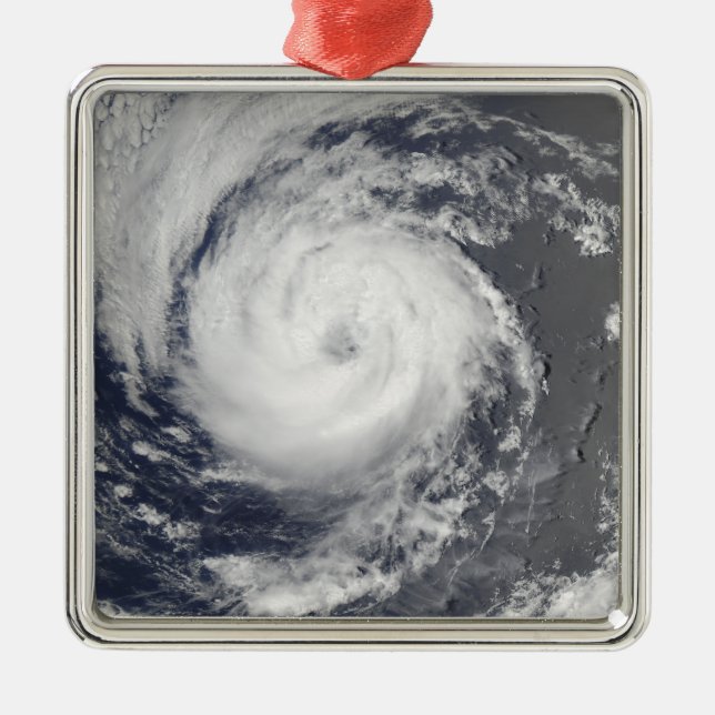 Tropical Storm Guillermo Metal Tree Decoration (Front)
