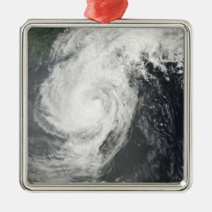 Tropical Storm Parm Metal Tree Decoration