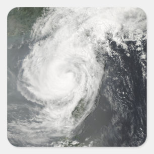 Tropical Storm Parm Square Sticker