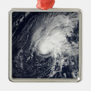 Tropical Storm Zeta Metal Tree Decoration