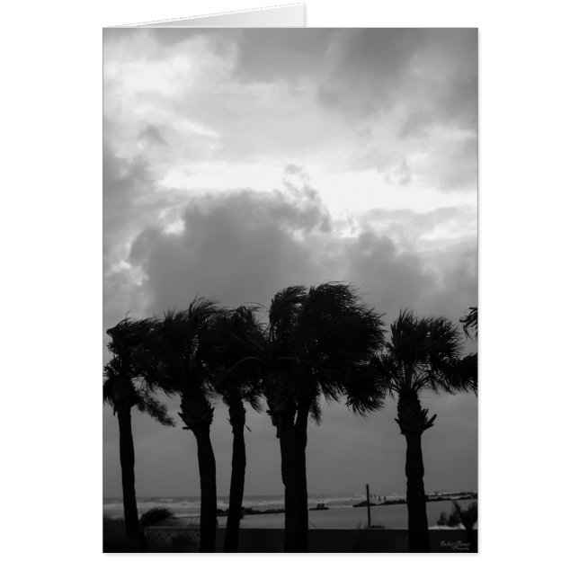 Tropical Stormy Skies Grayscale (Front)