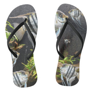 Tropical Striped Fish Adult Flip Flops