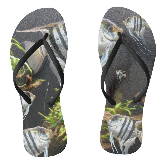 Tropical Striped Fish Adult Flip Flops (Footbed)