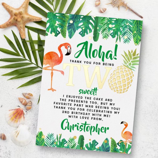 Tropical Summer Beach Luau Boys 2nd Birthday (Creator Uploaded)