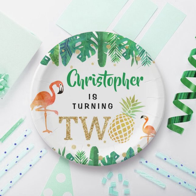 Tropical Summer Beach Luau Boys 2nd Birthday Paper Plate (Creator Uploaded)