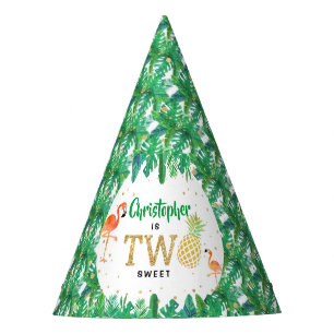 Tropical Summer Beach Luau Boys 2nd Birthday Party Hat