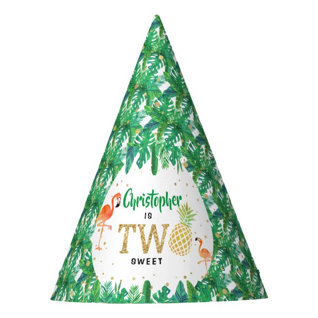 Tropical Summer Beach Luau Boys 2nd Birthday Party Hat (Front)