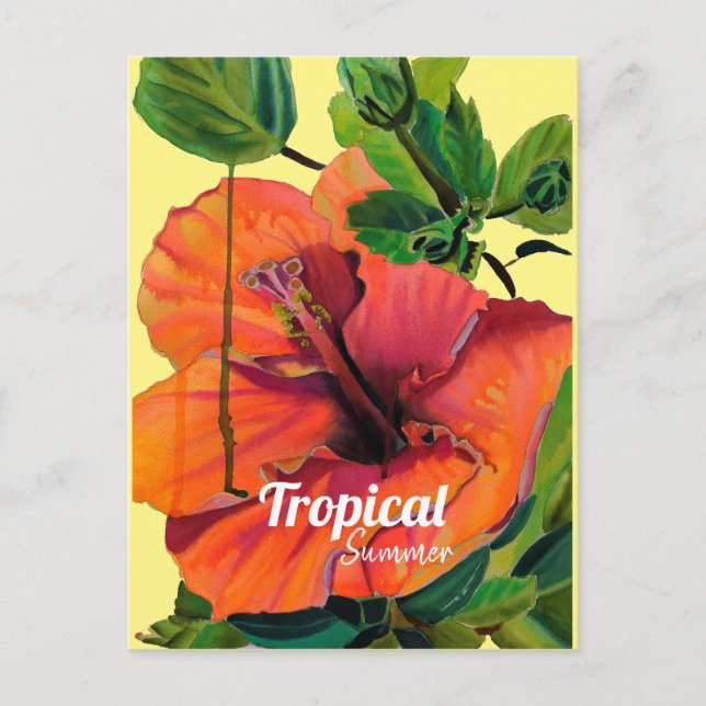 Tropical Summer orange hibiscus Postcard (Front)