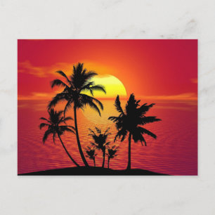 Tropical Summer Sunset Postcard