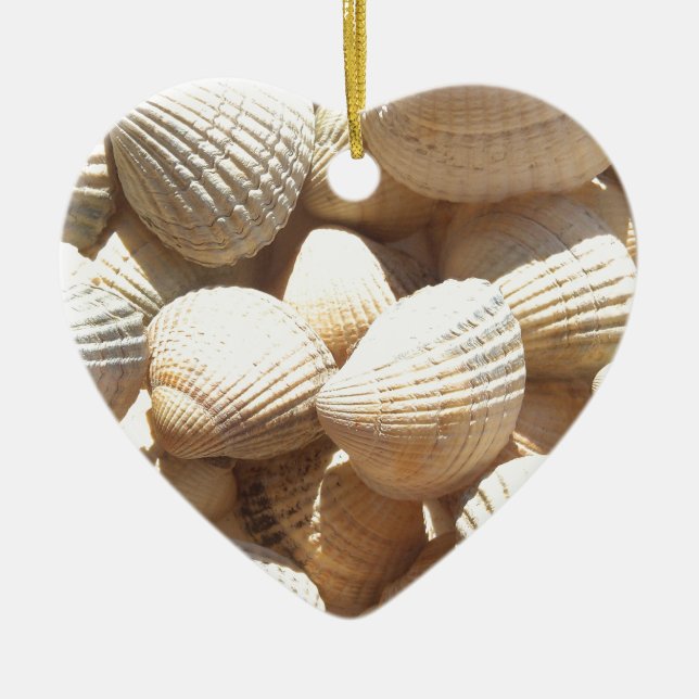 Tropical Sunny Exotic Sea Shells Ceramic Tree Decoration (Front)