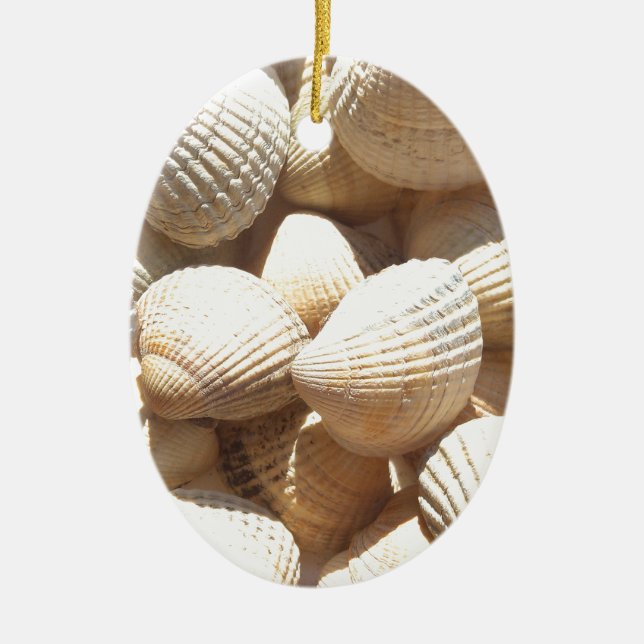 Tropical Sunny Exotic Sea Shells Ceramic Tree Decoration (Front)