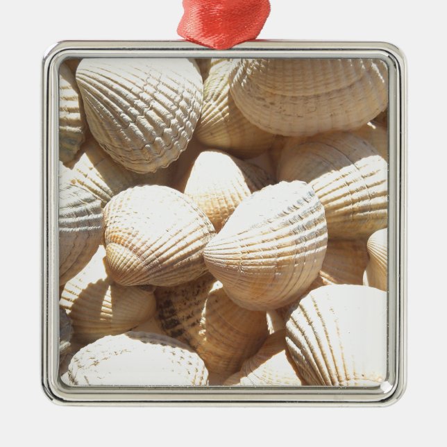 Tropical Sunny Exotic Sea Shells Metal Tree Decoration (Front)