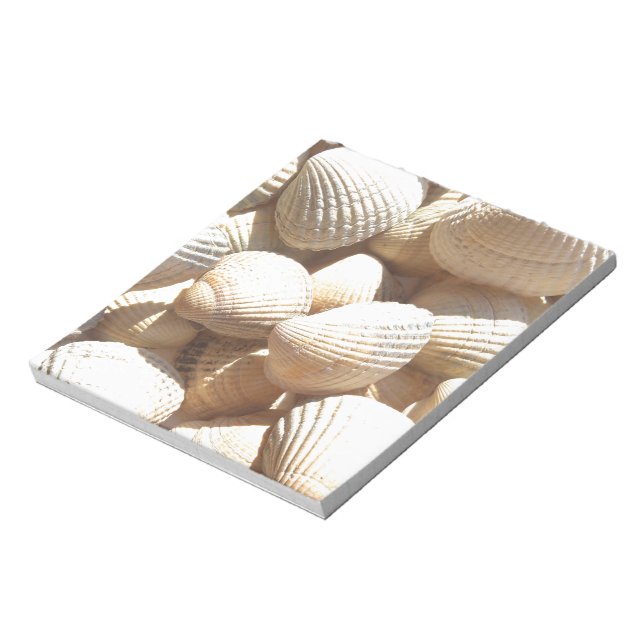 Tropical Sunny Exotic Sea Shells Notepad (Rotated)