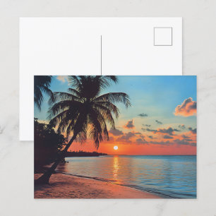 Tropical Sunset Beach Scene Postcard