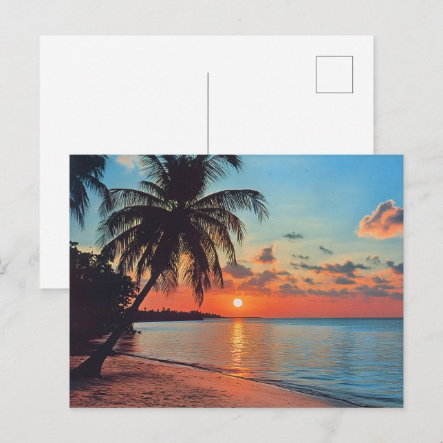 Tropical Sunset Beach Scene Postcard (Front/Back)