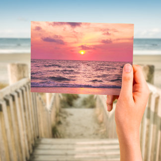 Tropical Sunset Naples, Florida Postcard