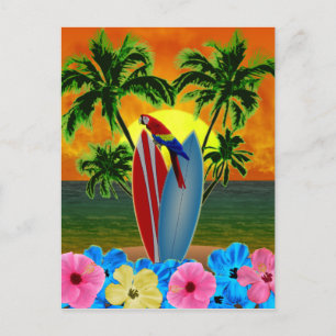 Tropical Sunset Postcard