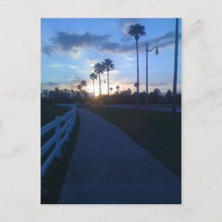 Tropical Sunset Postcard