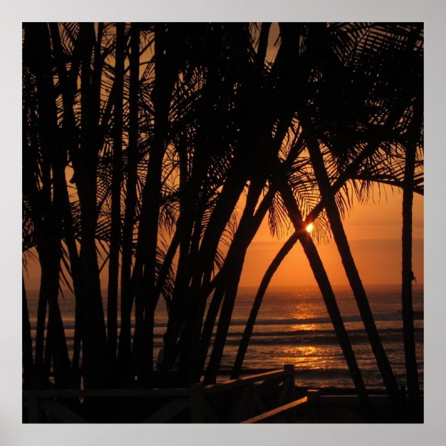 Tropical Sunset Poster (Front)