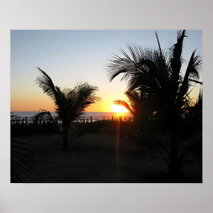 Tropical Sunset Silhouette Poster