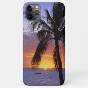 Tropical Sunset with Palm Tree iPhone 11 Pro Max Case