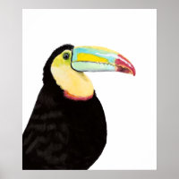 Tropical Toucan Bird