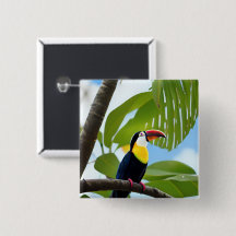 Tropical toucan in a tree