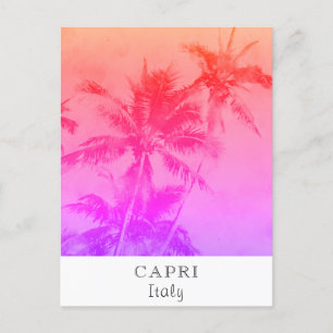 *~* Tropical Travel - AP25 Personalise  Palm Leaf Postcard