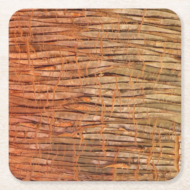 Tropical Tree Bark Nature Photo Square Paper Coaster (Front)
