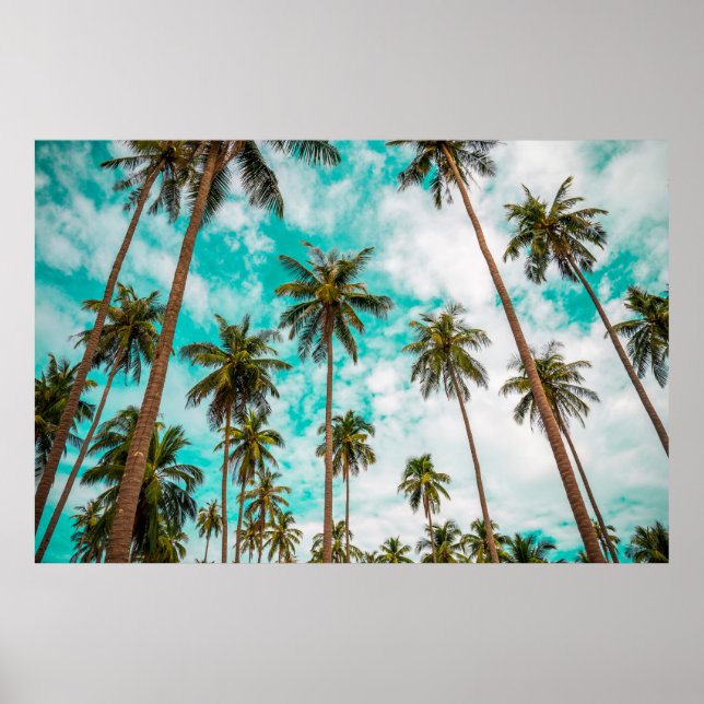 Tropical trees poster (Front)