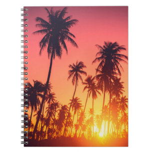 Tropical trees sunset notebook