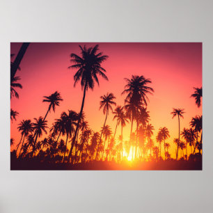 Tropical trees sunset poster