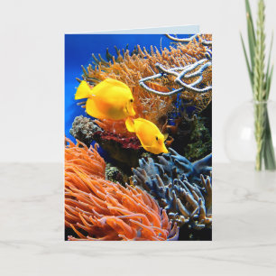 Tropical Undersea Coral Card