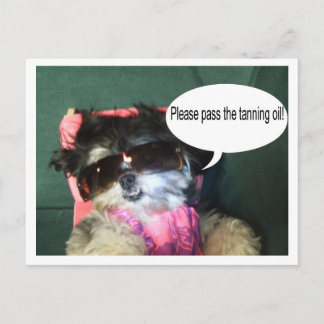 Tropical Vacation Postcard