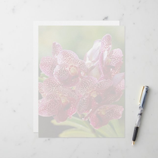 Tropical Vanda Orchid Cluster (Front/Back In Situ)