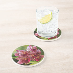 Tropical Vanda Orchid Cluster Coaster