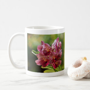 Tropical Vanda Orchid Cluster Coffee Mug