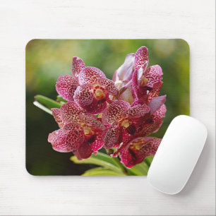 Tropical Vanda Orchid Cluster Mouse Mat