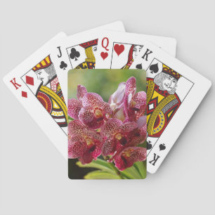 Tropical Vanda Orchid Cluster Playing Cards