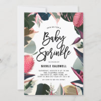 Tropical Variegated Houseplants Baby Sprinkle