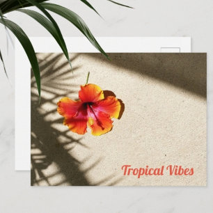 Tropical Vibes Hibiscus Postcard