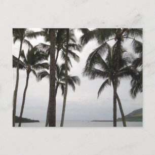 Tropical View in Kauai Postcard