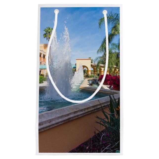 Tropical Water Fountain Small Gift Bag (Front)