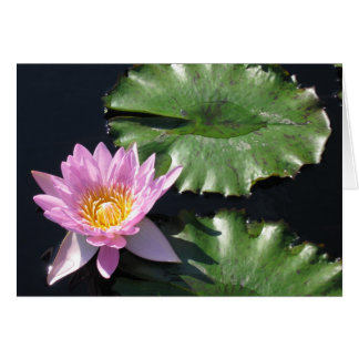 Tropical Water Lily Card