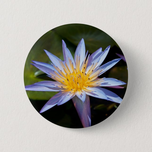 Tropical Waterlily Floral Botanical Design 6 Cm Round Badge (Front)