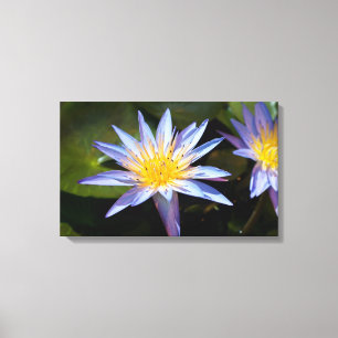 Tropical Waterlily Floral Botanical Design Canvas Print