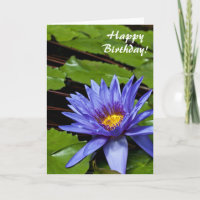 Tropical Waterlily Floral Botanical Design