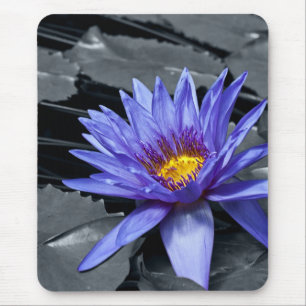 Tropical Waterlily Floral Botanical Design Mouse Mat