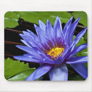 Tropical Waterlily Floral Botanical Design Mouse Mat
