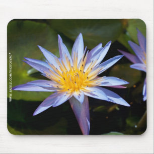 Tropical Waterlily Floral Botanical Design Mouse Mat